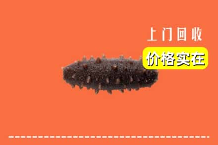 收购资讯:吉首市回收海参