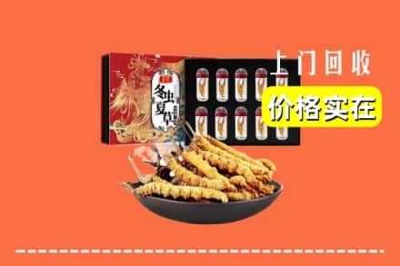 吉首市回收虫草